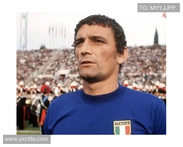 意大利足球明星现状分析与未来发展展望