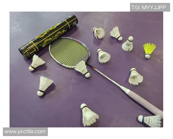 杨强独家分享羽毛球技巧与心得助你提升竞技水平与乐趣