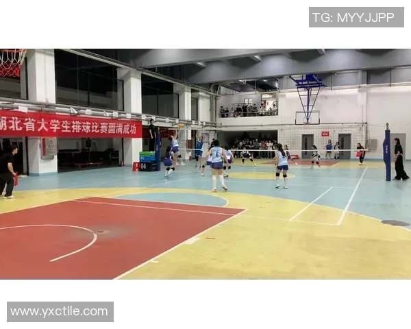 武汉排球队在洲际杯中的心理素质表现分析与启示