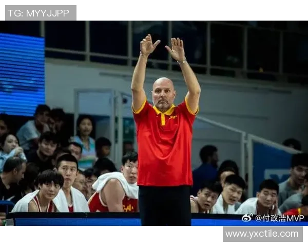 南京排球队防守反击的优劣分析与未来发展方向探讨